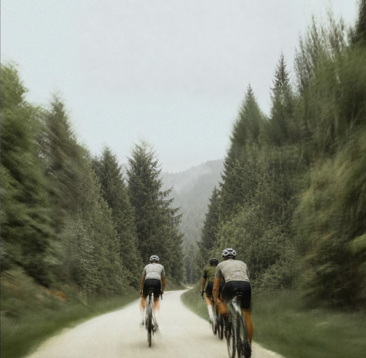 Friends cycling together on a forest road